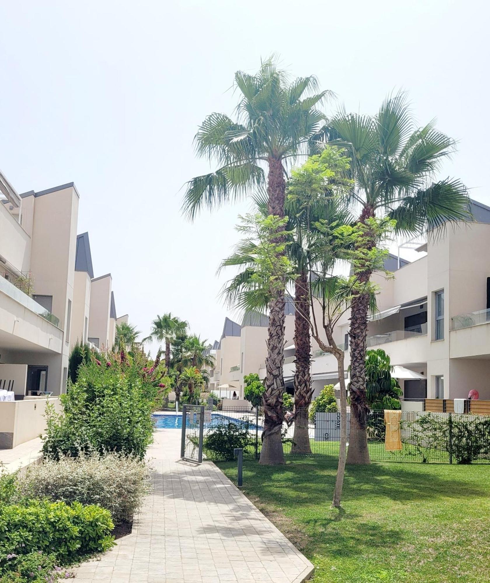 Pmt01 - Modern, Luxury With Heated Pool Apartment ตอร์เรเวียคา ภายนอก รูปภาพ